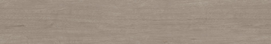 Керамогранит CW02 (19,4x120x10) непол. рект. CW 02 CW 02