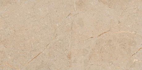 Керамогранит Camel Glossy 111.11S.1111 (60x120)