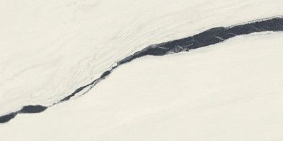 Керамогранит Forte Dei Marmi Panda White Rett Cer (60x120) 610015000656