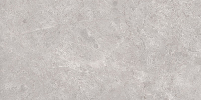 Керамогранит Tokyo Grey Polished (80x160) N20488