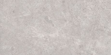 Керамогранит Tokyo Grey Polished (80x160) N20488