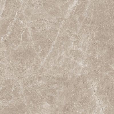 Керамогранит Frappuccino Taupe Polished (120x120) N20462
