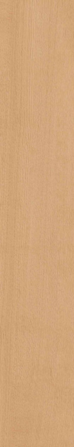 Керамогранит CW04 (19,4x120x10) непол. рект. CW 04 CW 04