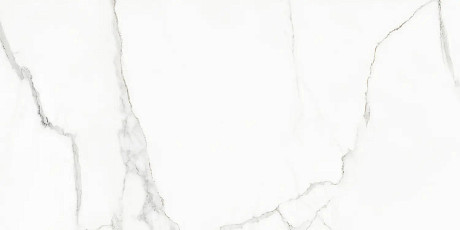 Керамогранит Rhapsody White beauty levigato rettificato 117432 (60x120)