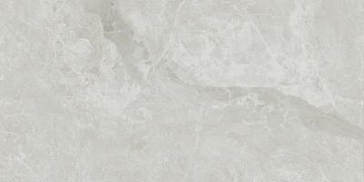 Керамогранит Joyce grigio rett CC0005505 (60x120)