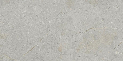 Керамогранит Gris Glossy 111.11Q.1111 (60x120)