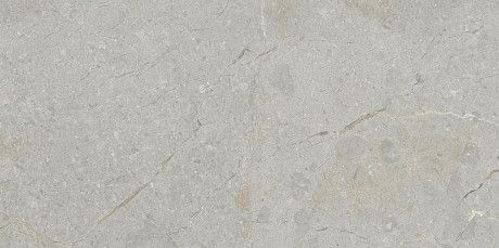 Керамогранит Gris Glossy 111.11Q.1111 (60x120)