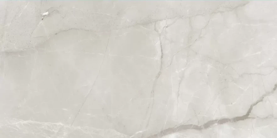 Fish Maw Ash Digital Carving 60x120 KSW612DG008