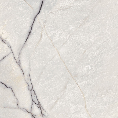 Керамогранит Epoque 21 Lilac Whi. Ant PF60009348 (60x60)