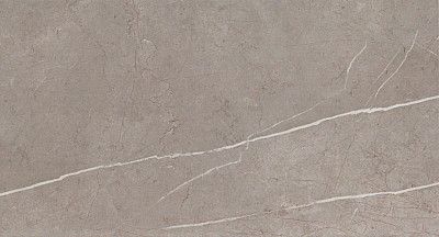 Керамическая плитка Marvel Silver Dream (30,5x56) 9P5S