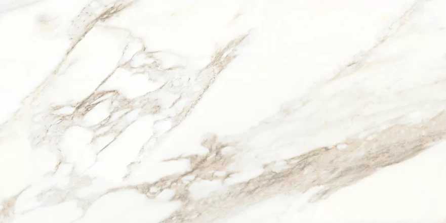 Rosa Aurora Rosa Aurora Glossy (60x120) RP-203100 RP-203100