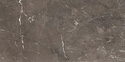 Керамогранит Heritage Brown Glossy 6mm (60x120) 774851