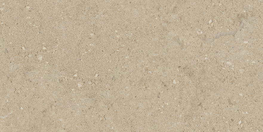 Керамогранит NP02 (30,6x60,9x8) непол. NP 02