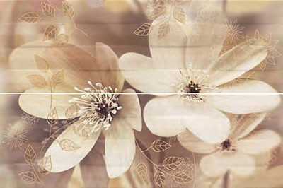 Декор Paris Decor Otono-2 50х75