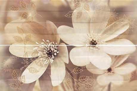 Декор Paris Decor Otono-2 50х75