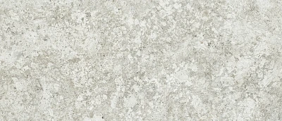 Керамогранит Braz. Wh./ФДМК Браз. Ва. (120x278) 600180000054