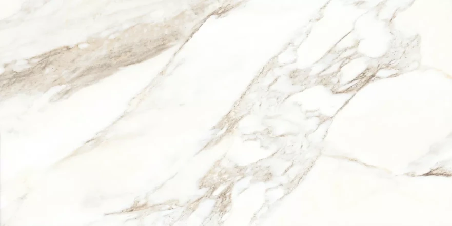 Rosa Aurora Rosa Aurora Glossy (60x120) RP-203100 RP-203100