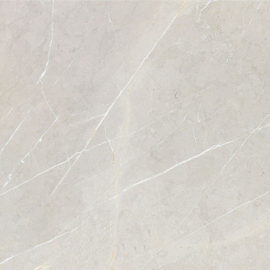 Керамогранит 2550 BB6NTT9101P (60x60) BB6NTT9101P