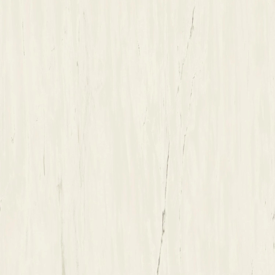 Керамогранит Marvel Bianco Dolomite (120x120) A204 A204