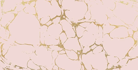 Декор Golden Tint (24.9x50) DW9GTI02