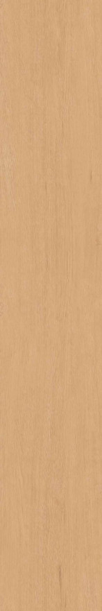 Керамогранит CW04 (19,4x120x10) непол. рект. CW 04 CW 04