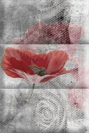 Керамическая плитка Composicion Opio A (15х22.5)