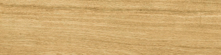 Керамогранит Escape Miele (12.5x50) УТ-00011872