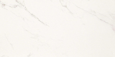 Statuario Grigio Lucido (60x120)