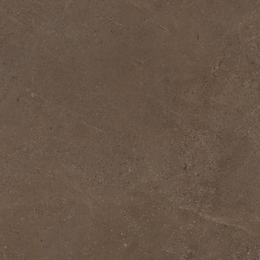 Керамогранит GO03 непол. рект. (60x60) GO 03 GO 03