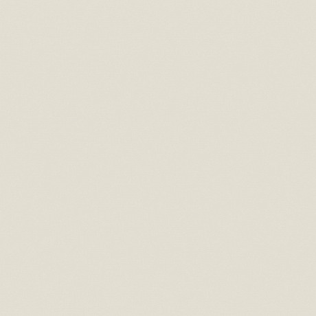 Керамогранит YC05 непол. рект. (60x60)