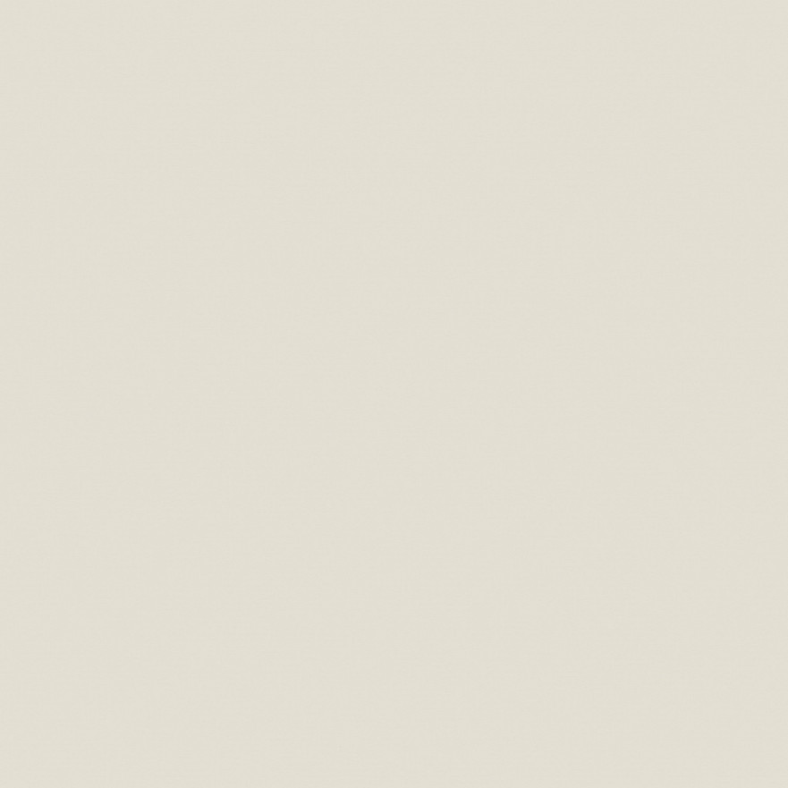 Керамогранит YC05 непол. рект. (60x60) YC 05