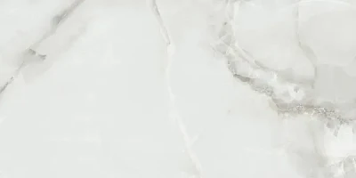 Керамогранит Fenix Gris 60x120