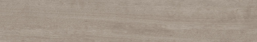 Керамогранит CW02 (19,4x120x10) непол. рект. CW 02 CW 02