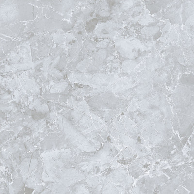 Керамогранит Genio Серый MR (60x60) E-3019