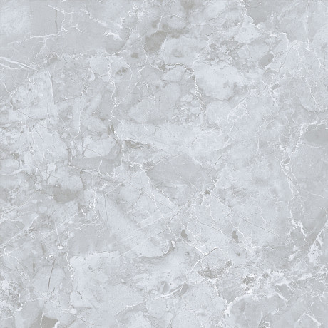 Керамогранит Genio Серый MR (60x60) E-3019