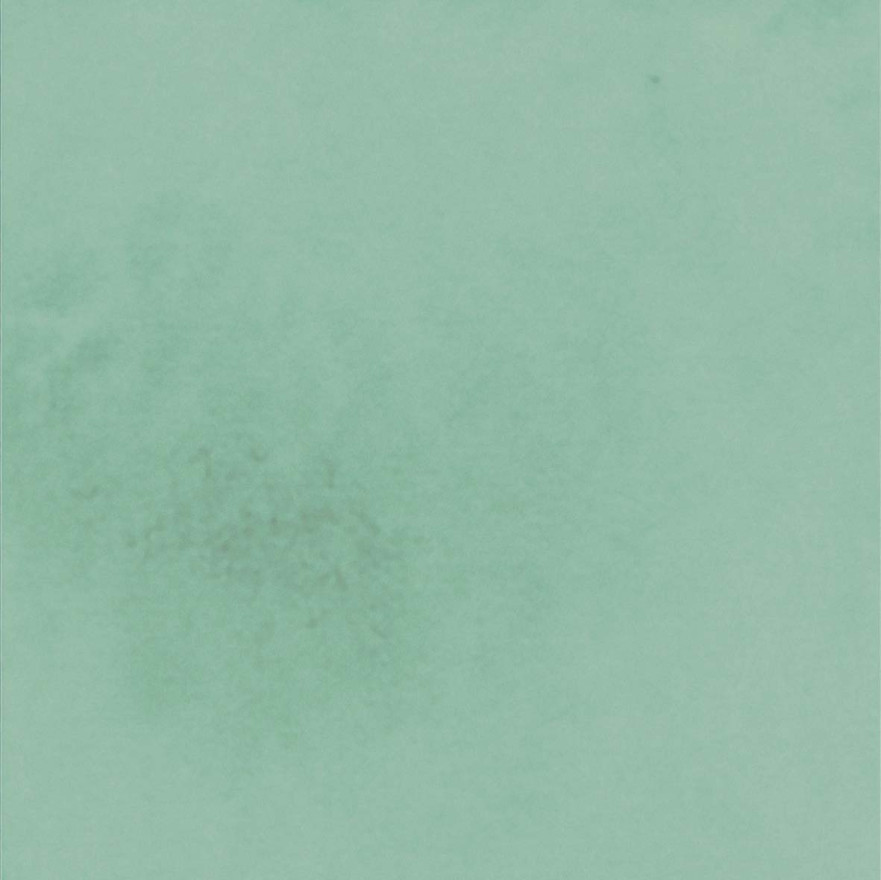 Керамическая плитка Poetry colors Sage n (10x10) PF60011527 PF60011527