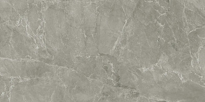 Керамогранит Joyce tortora rett CC0005506 (60x120)