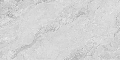 Керамогранит 230101 Light Grey Polished 60x120