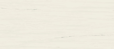 Керамогранит Marvel Bianco Dolomite Matt (120x278) A2RS