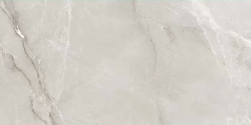 Fish Maw Ash Digital Carving 60x120 KSW612DG008