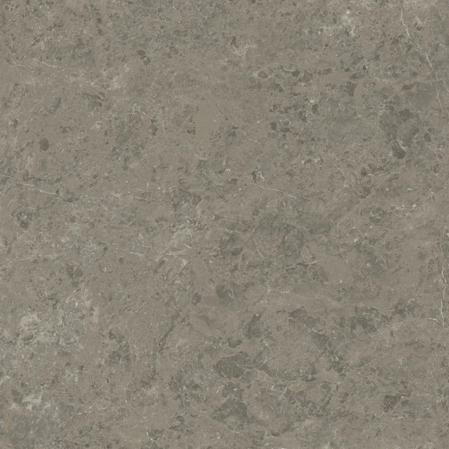 Керамогранит Marvel Meraviglia Grigio Elegante Velvet AJIL (120x120) AJIL AJIL