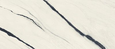 Керамогранит Forte Dei Marmi Panda White Lapp/ФДМ Панда Вайт Лап (120x278) 600180000037