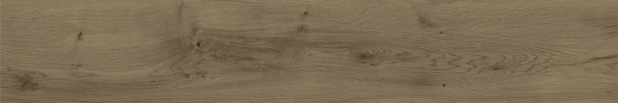 Керамогранит Dubrava Brown Str. (20x120) K-2304/SR/200x1200 K-2304/SR/200x1200