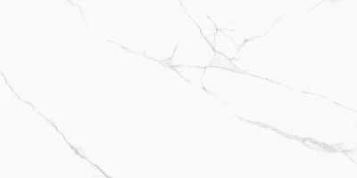 Керамогранит CRV-3141 carving (60х120) MPL-058816