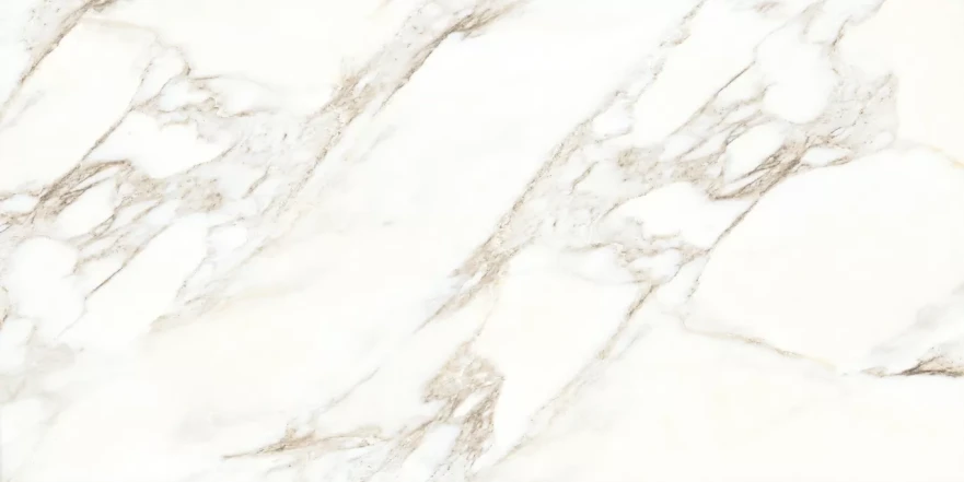 Rosa Aurora Rosa Aurora Glossy (60x120) RP-203100 RP-203100