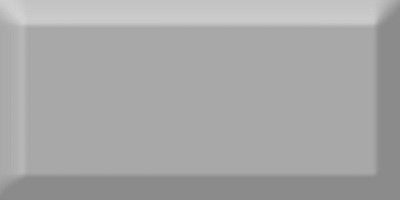 Керамическая плитка Monocolor Plata Biselado Brillo (10x20)