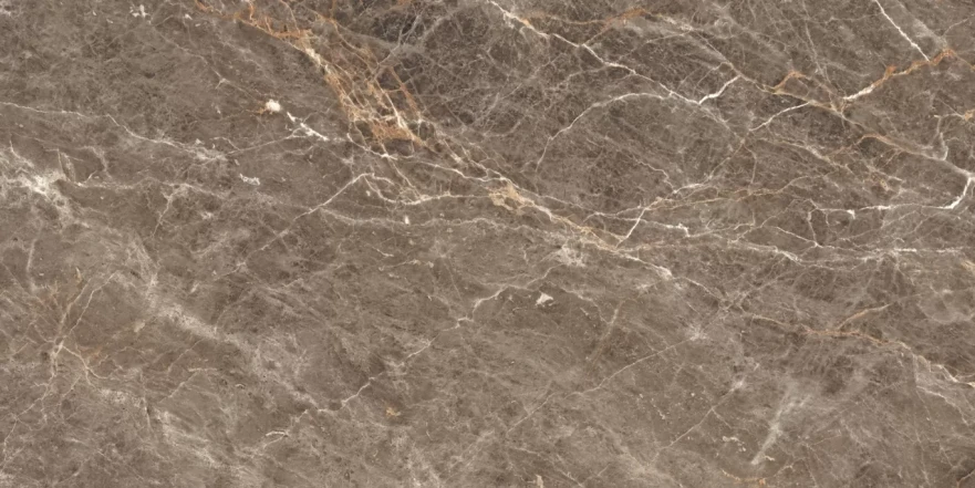 Istanbul Sepia Glossy 120x60 RP-160240