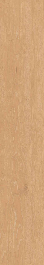 Керамогранит CW04 (19,4x120x10) непол. рект. CW 04 CW 04