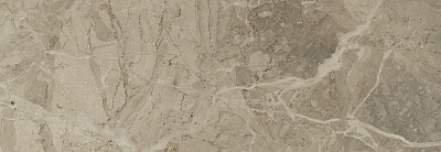 Керамическая плитка ELEGANCE NATURAL 2984 NPLUS (29x84) FL58495