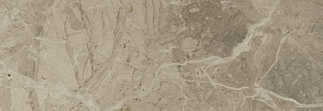 Керамическая плитка ELEGANCE NATURAL 2984 NPLUS (29x84) FL58495